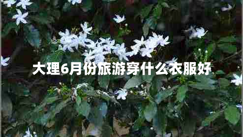 大理6月份旅游穿什么衣服好 大理6月份旅游穿什么衣服好