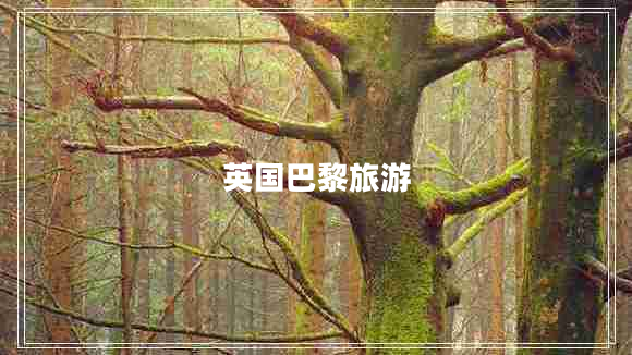 英國(guó)巴黎旅游