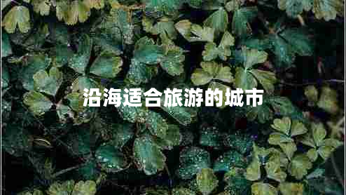 沿海適合旅游的城市
