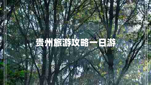 貴州旅游攻略一日游