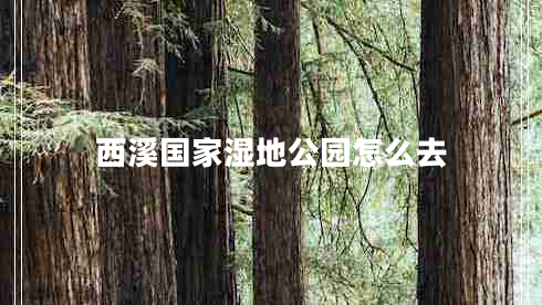 西溪國(guó)家濕地公園怎么去