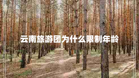 云南旅游團(tuán)為什么限制年齡 云南旅游團(tuán)為什么限制年齡