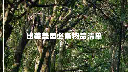 出差美國(guó)必備物品清單