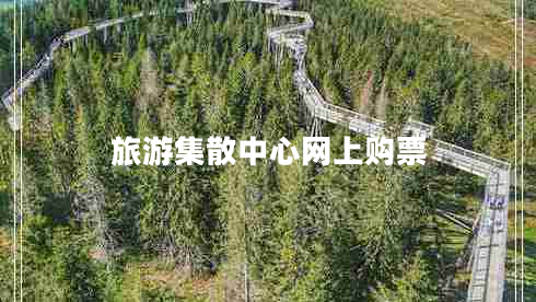 旅游集散中心網(wǎng)上購票