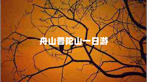 舟山普陀山一日游