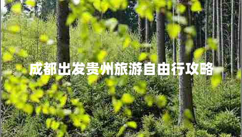 成都出發(fā)貴州旅游自由行攻略