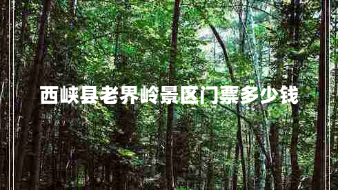 西峽縣老界嶺景區(qū)門票多少錢