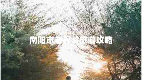 南陽市老界嶺旅游攻略