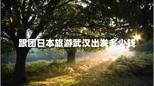 跟團(tuán)日本旅游武漢出發(fā)多少錢