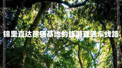 錦里直達熊貓基地的旅游直通車線路