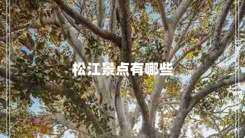松江景點有哪些 松江景點有哪些