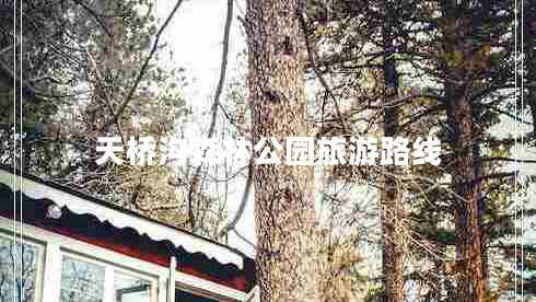 天橋溝森林公園旅游路線