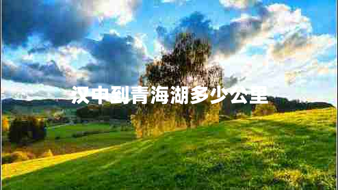 漢中到青海湖多少公里 漢中到青海湖多少公里