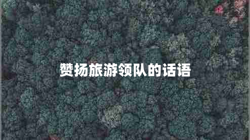 贊揚(yáng)旅游領(lǐng)隊(duì)的話語 贊揚(yáng)旅游領(lǐng)隊(duì)的話語