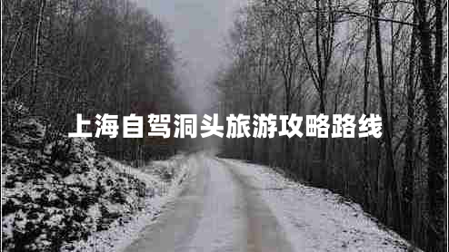 上海自駕洞頭旅游攻略路線
