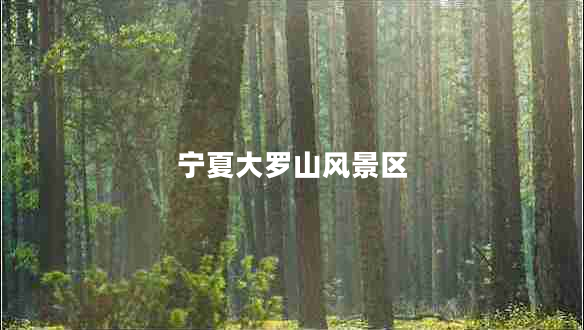 寧夏大羅山風(fēng)景區(qū) 寧夏大羅山風(fēng)景區(qū)