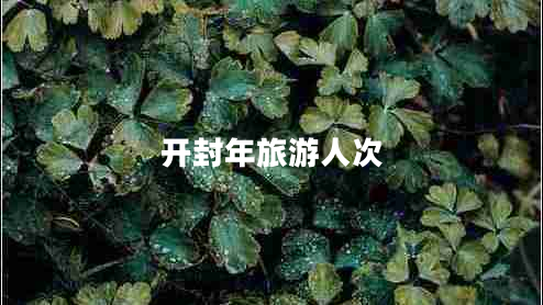 開(kāi)封年旅游人次