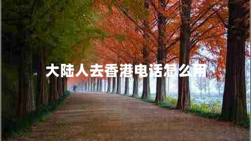 大陸人去香港電話怎么用
