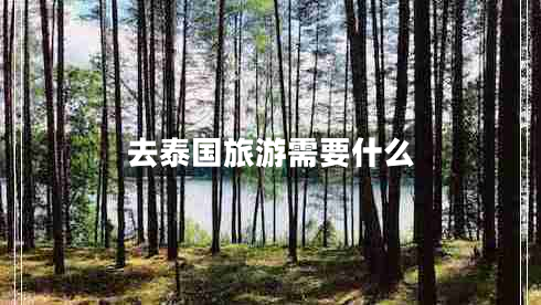 去泰國(guó)旅游需要什么