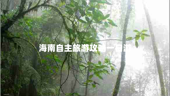 海南自主旅游攻略一日游 海南自主旅游攻略一日游