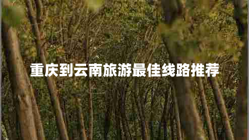 重慶到云南旅游最佳線路推薦