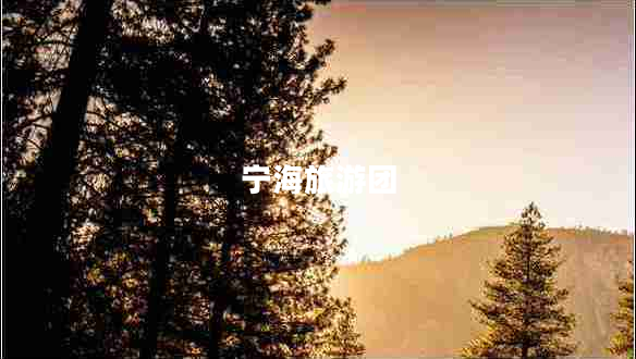 寧海旅游團(tuán)