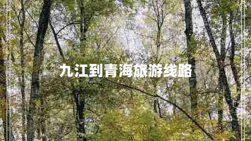 九江到青海旅游線路
