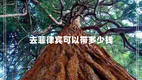 去菲律賓可以帶多少錢