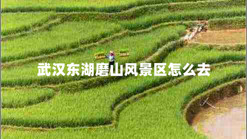 武漢東湖磨山風(fēng)景區(qū)怎么去