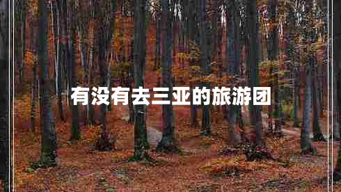有沒有去三亞的旅游團(tuán)