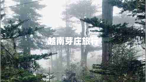 越南芽莊旅行 越南芽莊旅行