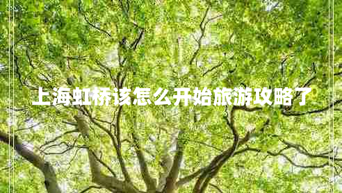 上海虹橋該怎么開始旅游攻略了