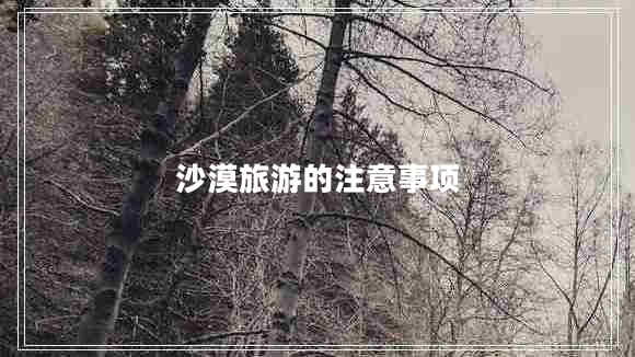 沙漠旅游的注意事項(xiàng) 沙漠旅游的注意事項(xiàng)