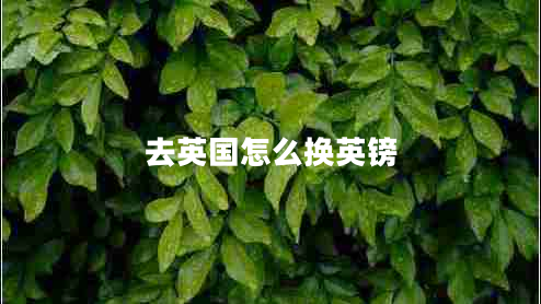 去英國怎么換英鎊