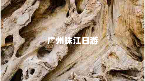 廣州珠江日游