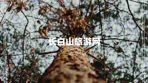 長(zhǎng)白山旅游網(wǎng)