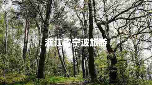 浙江省寧波旅游