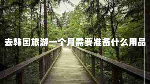 去韓國旅游一個月需要準備什么用品