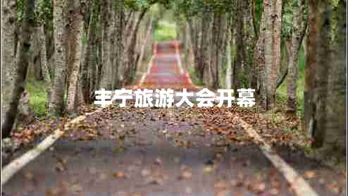 豐寧旅游大會開幕