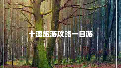 十渡旅游攻略一日游