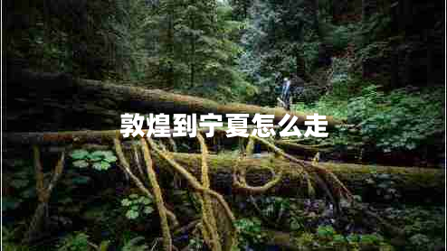 敦煌到寧夏怎么走