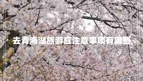 去青海湖旅游應(yīng)注意事項(xiàng)有哪些