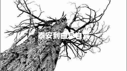 泰安到曲阜自駕