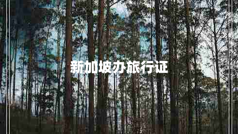 新加坡辦旅行證 新加坡辦旅行證