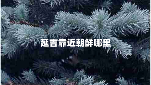 延吉靠近朝鮮哪里 延吉靠近朝鮮哪里