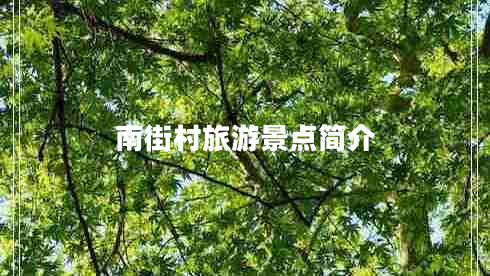 南街村旅游景點(diǎn)簡介