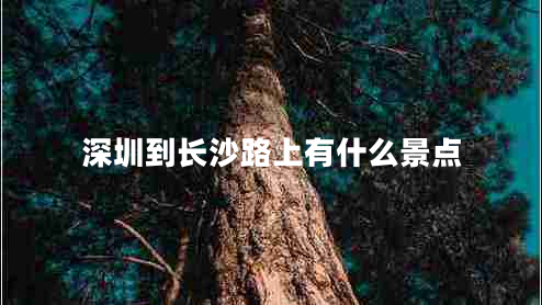 深圳到長沙路上有什么景點(diǎn)