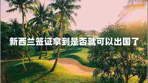 新西蘭簽證拿到是否就可以出國了