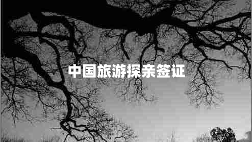 中國(guó)旅游探親簽證 中國(guó)旅游探親簽證