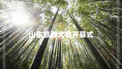 山東旅游大會開幕式 山東旅游大會開幕式